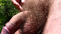 hairy cock