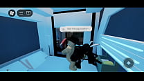 Coelhinha moradora de rua recebeu doação de cenoura no Roblox