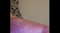 Candid Sandra gives her neighbor sloppy head while her husband is at work