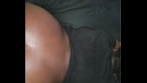Oiled doggy