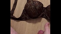 Cum on my step mom sexy leopard bra