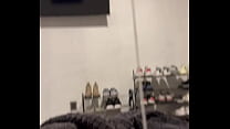 Mis mecos arácnidos