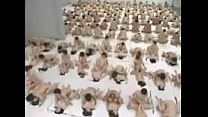Insane biggest fuck orgy
