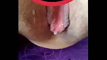 cornudo