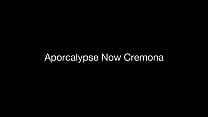 Aporcalypse Now Cremona (Italy)