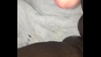 Xvideos