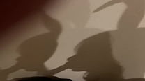 フェラチオ(影)