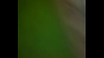 Xvideos