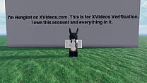Silly video