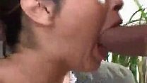 Sexy girl sucking cock