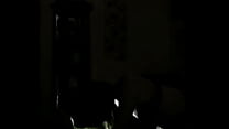 Late night sucking cock