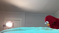 Elmo Fucking Beautiful Trans Woman Hard Raw