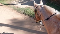 Cavalguei Tanto Que Me Exitei Tive Que Descontar O Cavalo