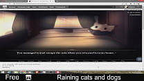 Raining cats and dogs (free game itchio ) Visual Novel