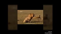 VID-20160418-WA0036