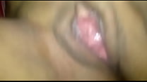 vulva panama