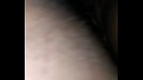 Bs
