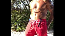SUNNY DAY
