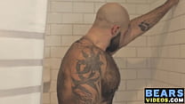 Hairy bear washes his fur while wanking