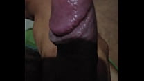 pene jugosa