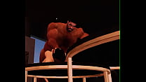 hunk fyck bull