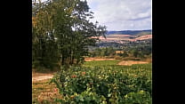 Ivresse des vendanges