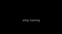 whip training krt A
