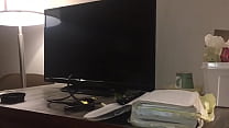 Stallions mares office of the creator