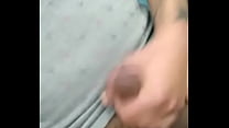 Colita regalada