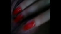 Bucetuda