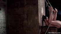 Brunette beauty suffers standing bondage