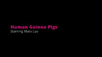 Human Guinea Pigs - Mara Luv