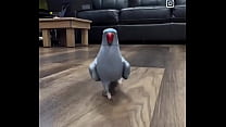 Hey YOU - Yes YOU !!!I just wanted to thank you that you are on my side ️