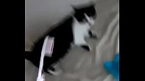 Toothbrush ANALISIS