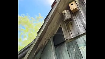 ‼️ show me your tattoos in the comments ‼️