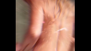 Lalifox Fiesta thumbnail