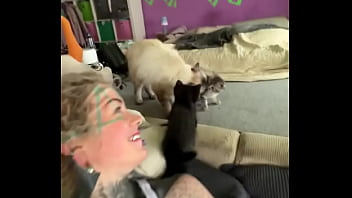 I love cats ️ mia was the best cat mom possible i rescued her pregnant from a bad household and she is such a