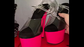 Omggggg i went to a store i haven’t been to before in providence i wish they had a twitter catz exotic wear i rare