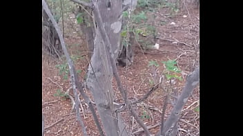 Punheta No Mato thumbnail