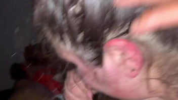 Getting some good head