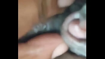 Bunny marvindesharra