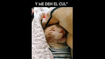 El gato kcheraso pe de sjl se corre en todas las ñofis