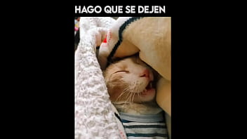 El gato kcheraso pe de sjl se corre en todas las ñofis