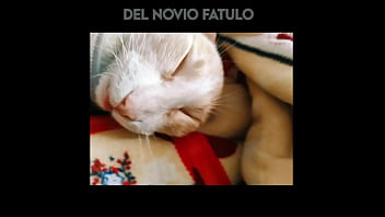 El gato kcheraso pe de sjl se corre en todas las ñofis