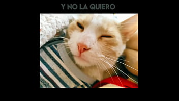 El gato kcheraso pe de sjl se corre en todas las ñofis