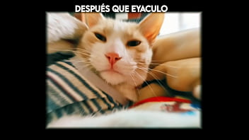 El gato kcheraso pe de sjl se corre en todas las ñofis