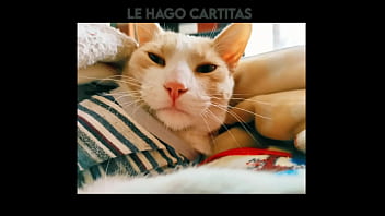 El gato kcheraso pe de sjl se corre en todas las ñofis