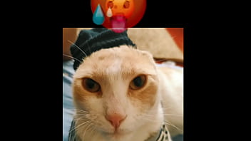 El gato kcheraso pe de sjl se corre en todas las ñofis