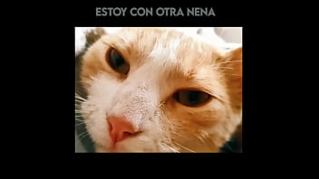 El gato kcheraso pe de sjl se corre en todas las ñofis