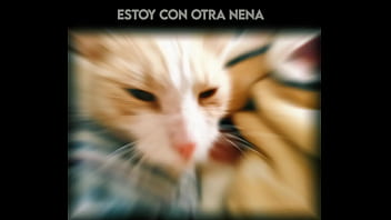 El gato kcheraso pe de sjl se corre en todas las ñofis
